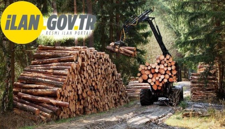 Ormancılık çalışmalarının takibi ve kontrolü hizmeti alınacak