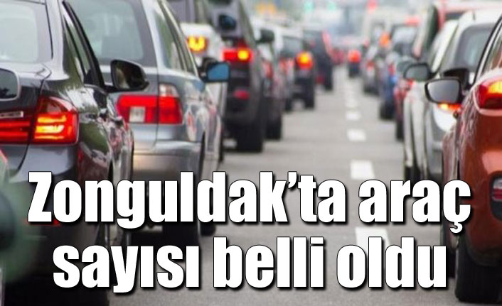 Zonguldak’ta araç sayısı belli oldu
