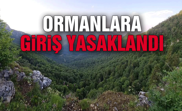 Zonguldak, Bartın ve Karabük'te ormanlık alanlara giriş çıkışlar sınırlandırıldı