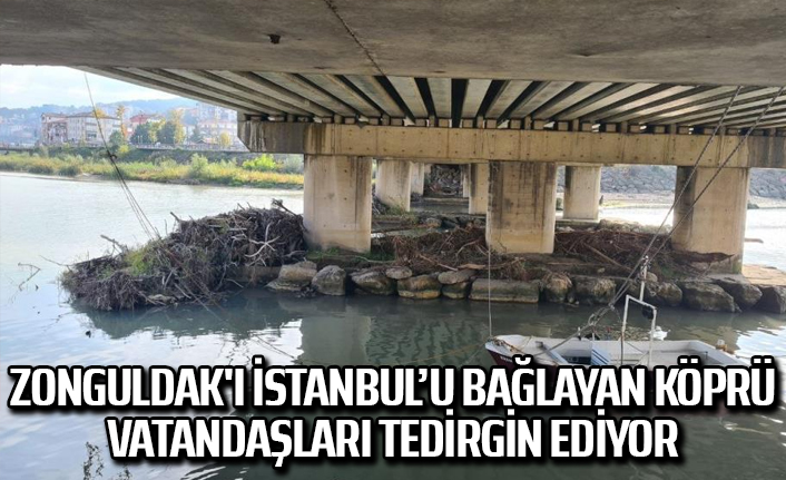 Zonguldak'ı İstanbul’u bağlayan köprü vatandaşları tedirgin ediyor