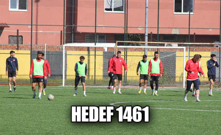 Hedef 1461
