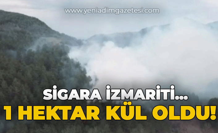 Orman yangını: 1 sigara izmariti 1 hektarlık alanı yaktı!